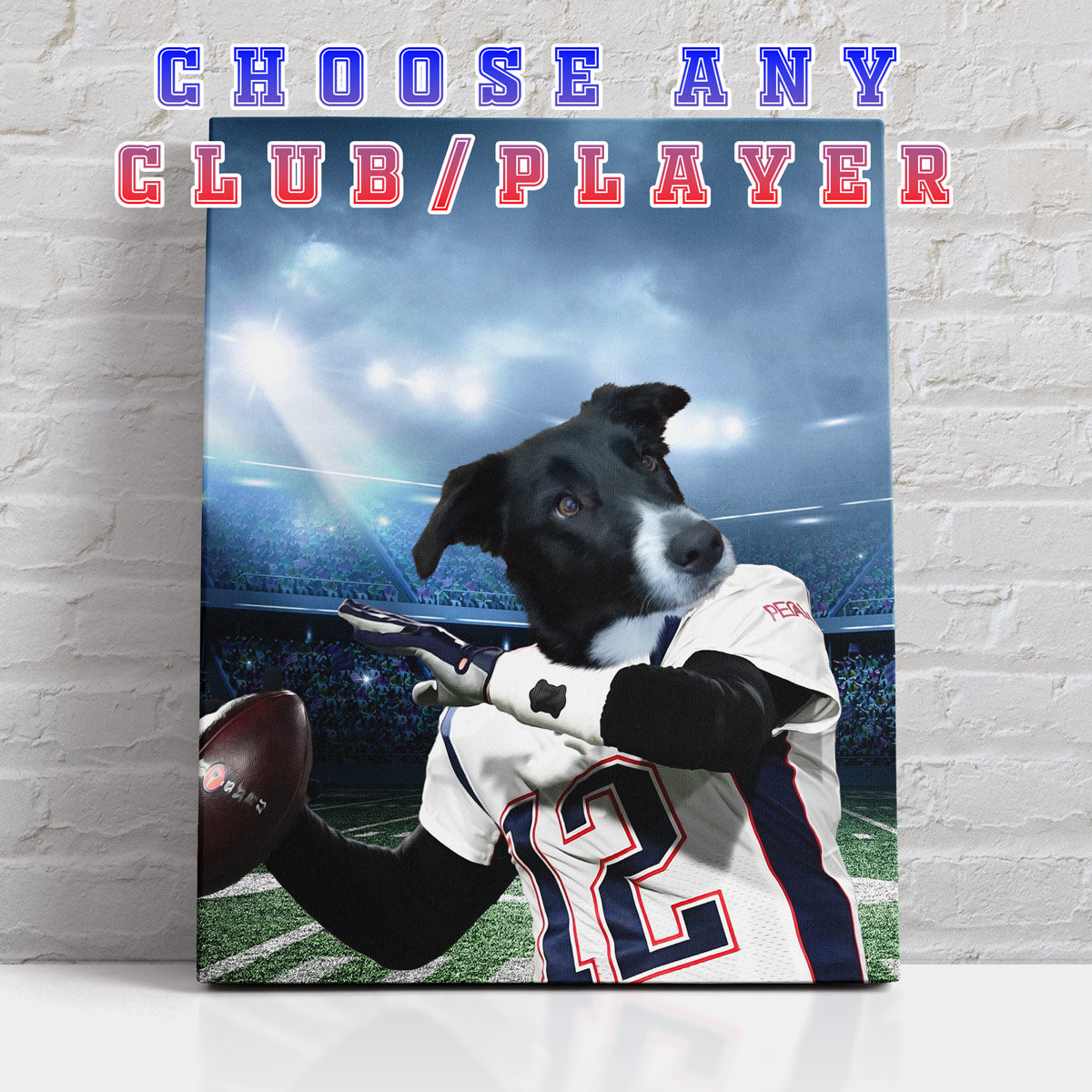 Baseball Player - Personalized Sports Pet Portrait