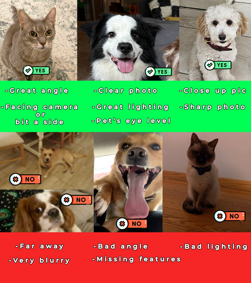 American Football - Personalized  Sports Pet Portrait