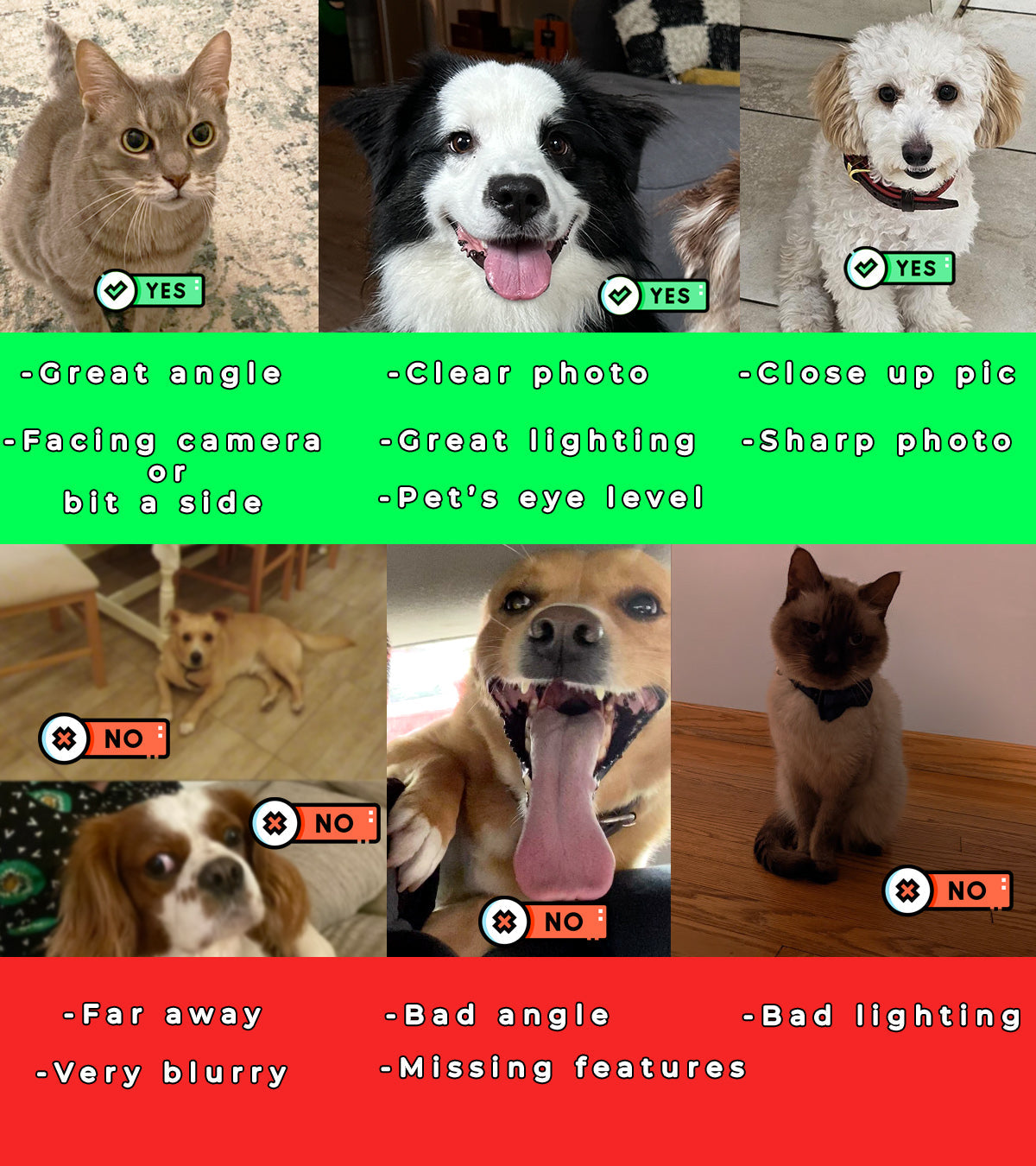 Gentleman - Personalized Pet Portrait